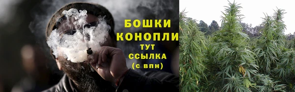 крисы Горно-Алтайск