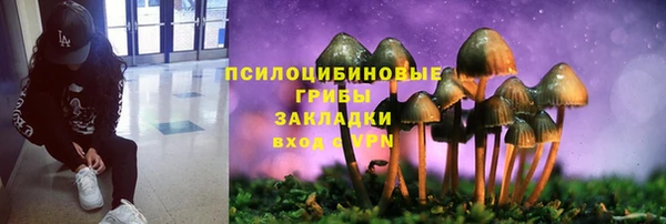ECSTASY Горнозаводск