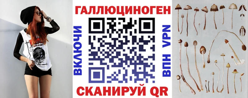 Галлюциногенные грибы Psilocybe  Купить где  Минеральные Воды 